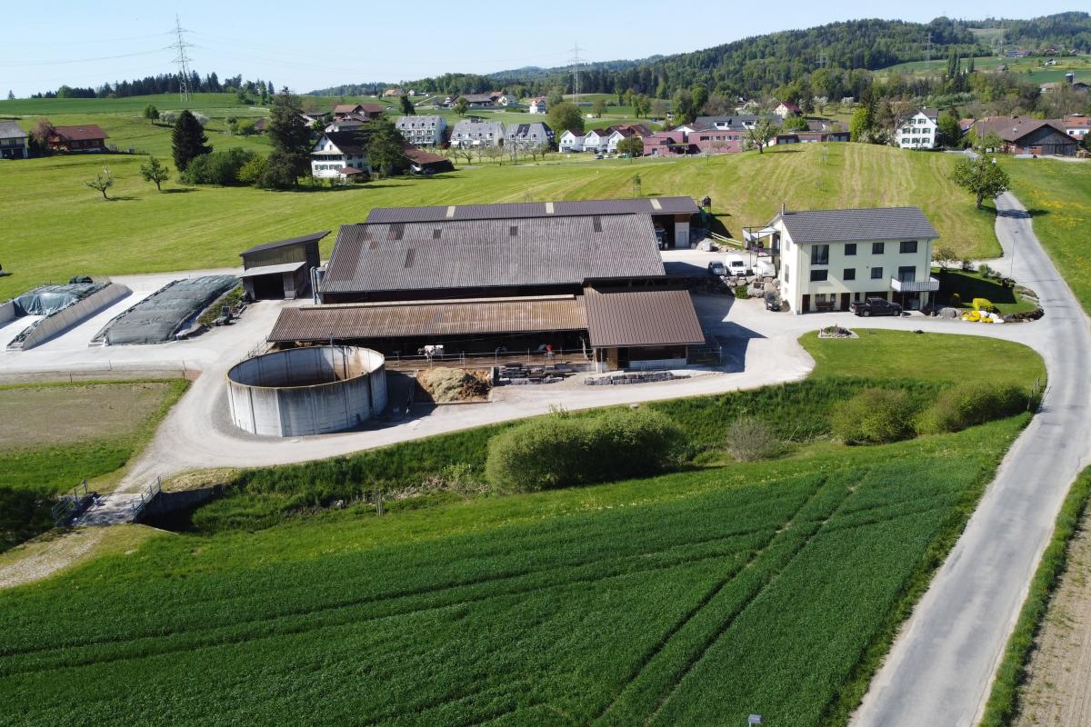 Betrieb Michael Frey, Zwillikon frey-farming.ch