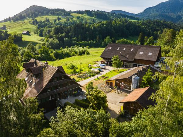 Unser Hof gelegen Richtung Wildspitz in Unterägeri